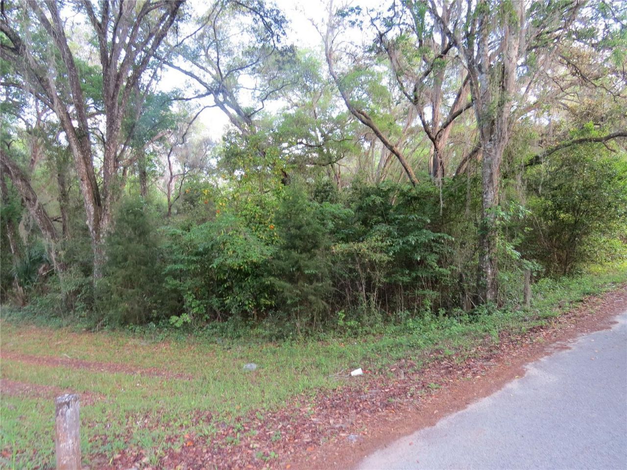 28380 Forbes Street, Nobleton, FL 34661 Photo