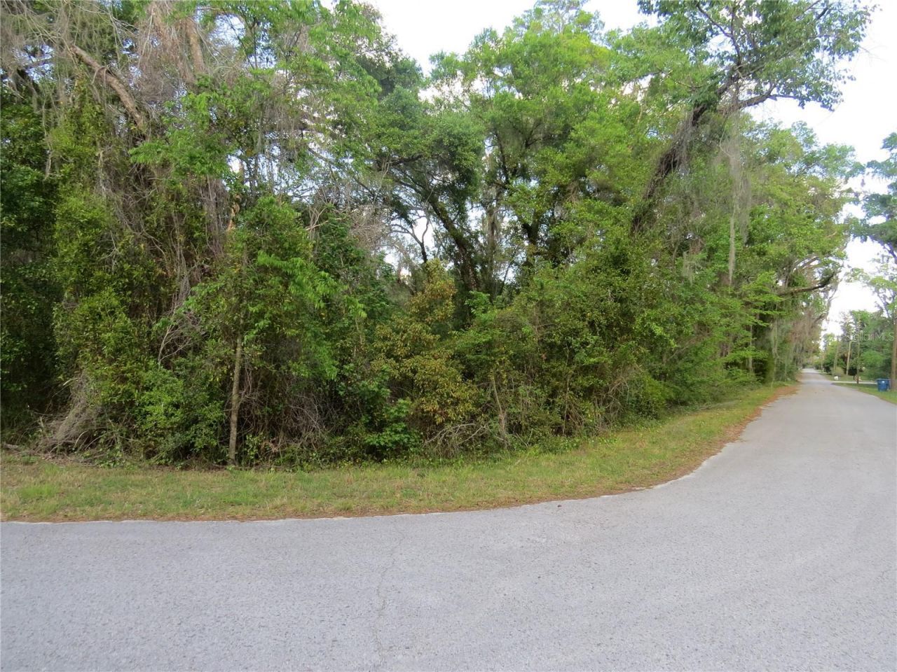 28380 Forbes Street, Nobleton, FL 34661 Photo