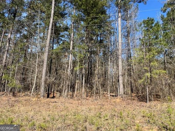 0 Jones, South Fulton, GA 30213