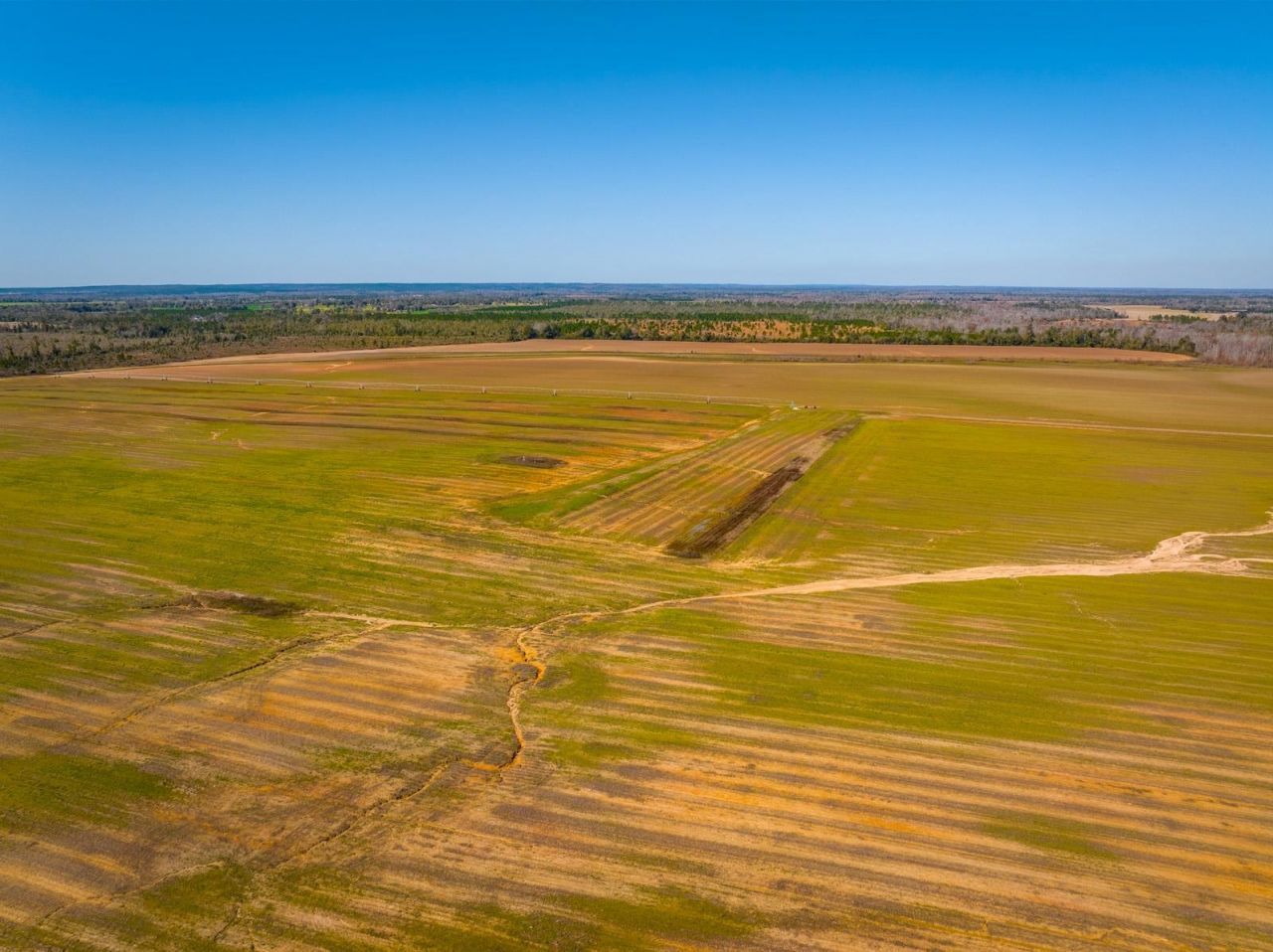 Xxxx Rocky Creek Road, Marianna, FL 32448 Photo