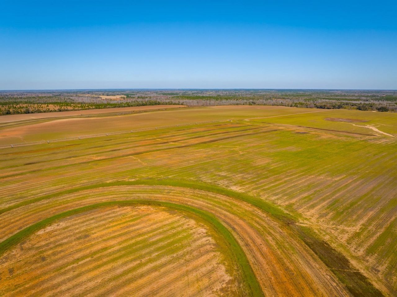 Xxxx Rocky Creek Road, Marianna, FL 32448 Photo