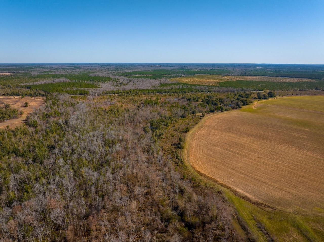 Xxxx Rocky Creek Road, Marianna, FL 32448 Photo