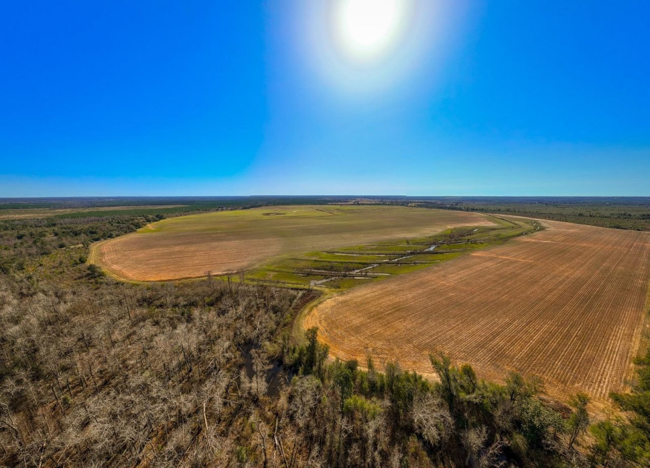 Xxxx Rocky Creek Road, Marianna, FL 32448 Photo