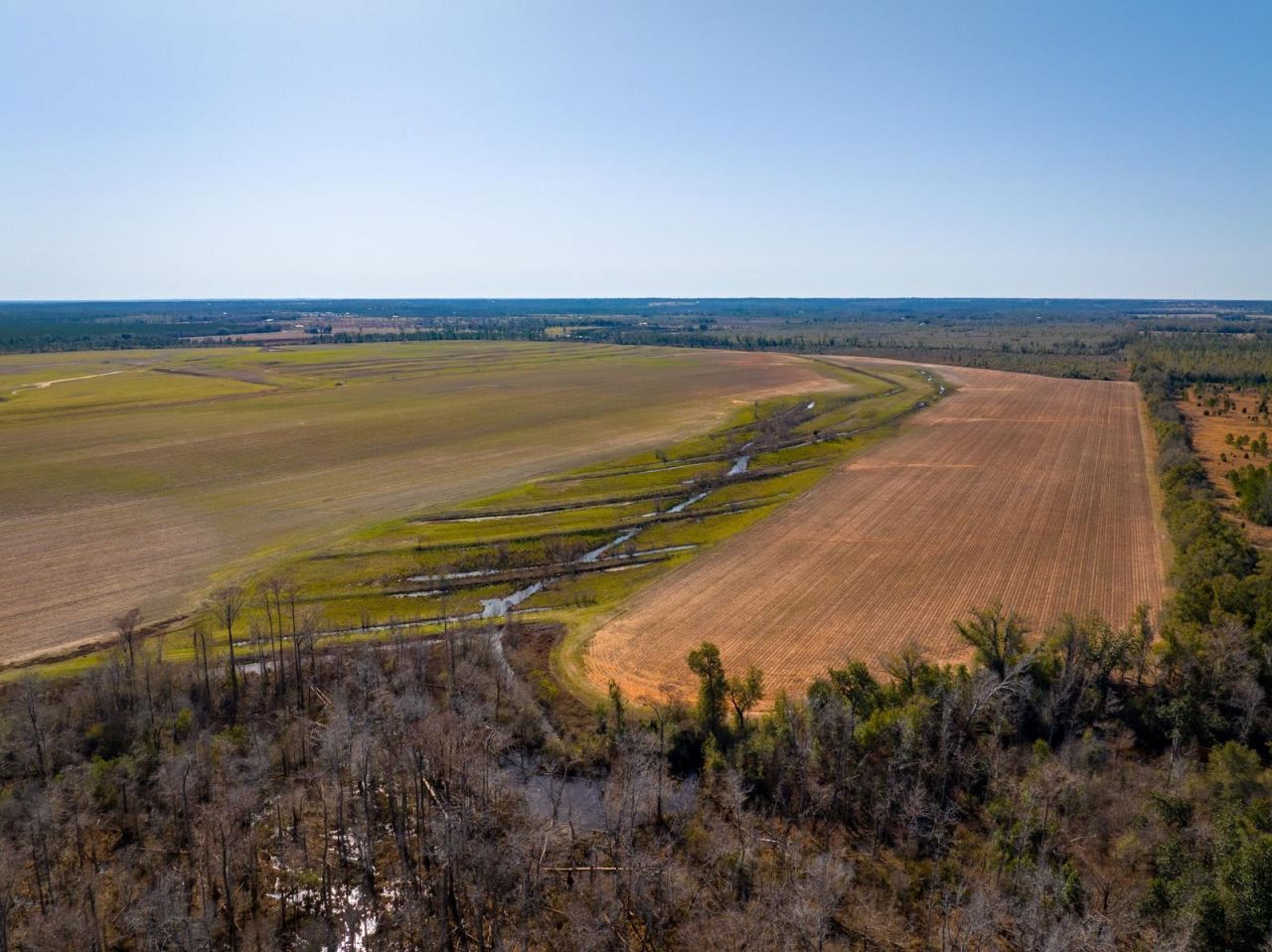 Xxxx Rocky Creek Road, Marianna, FL 32448 Photo