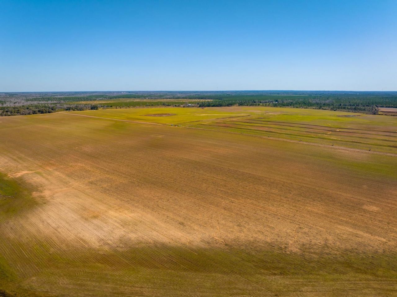 Xxxx Rocky Creek Road, Marianna, FL 32448 Photo