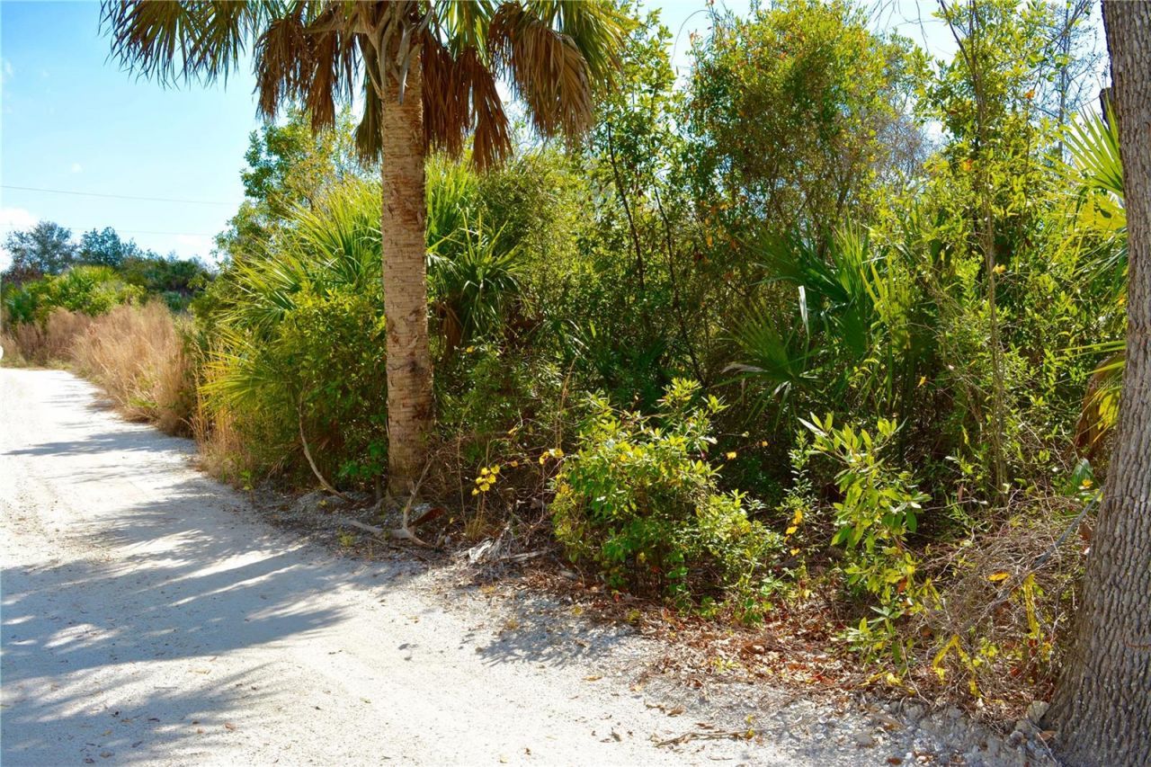 27195 Lowry Avenue, Punta Gorda, FL 33983 Photo