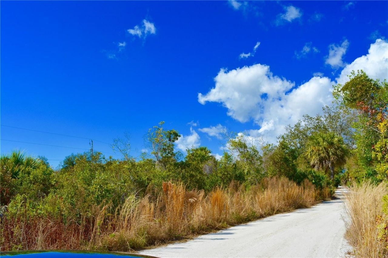 27195 Lowry Avenue, Punta Gorda, FL 33983 Photo