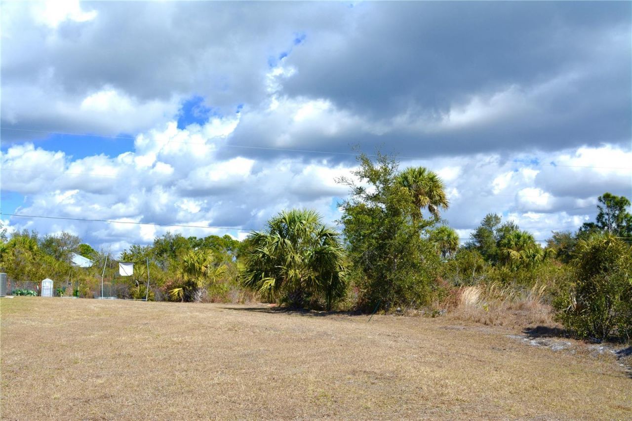 27195 Lowry Avenue, Punta Gorda, FL 33983 Photo