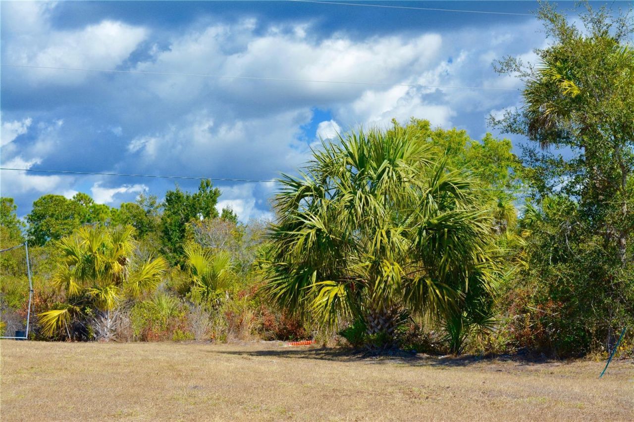 27195 Lowry Avenue, Punta Gorda, FL 33983 Photo