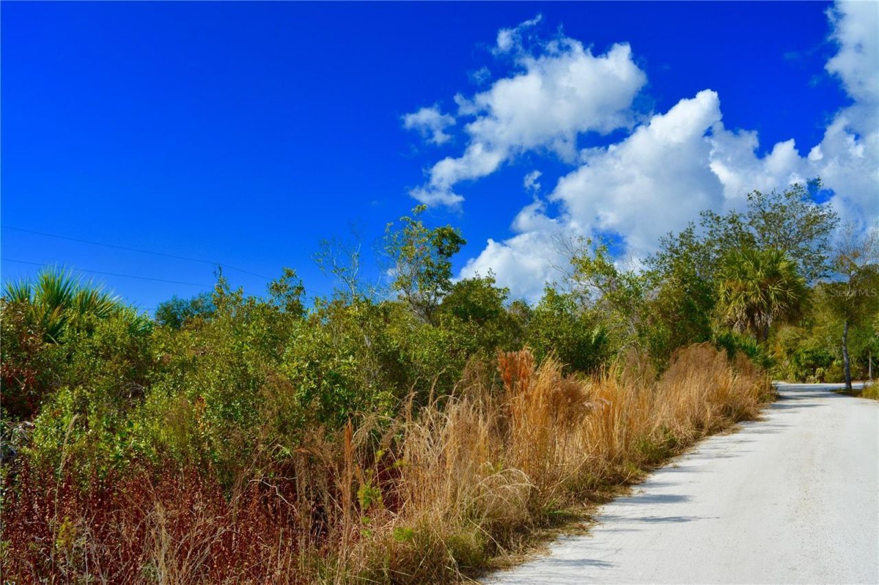 27195 Lowry Avenue, Punta Gorda, FL 33983 Photo