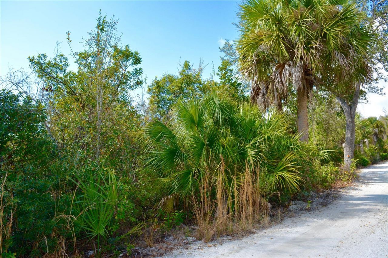 27195 Lowry Avenue, Punta Gorda, FL 33983 Photo