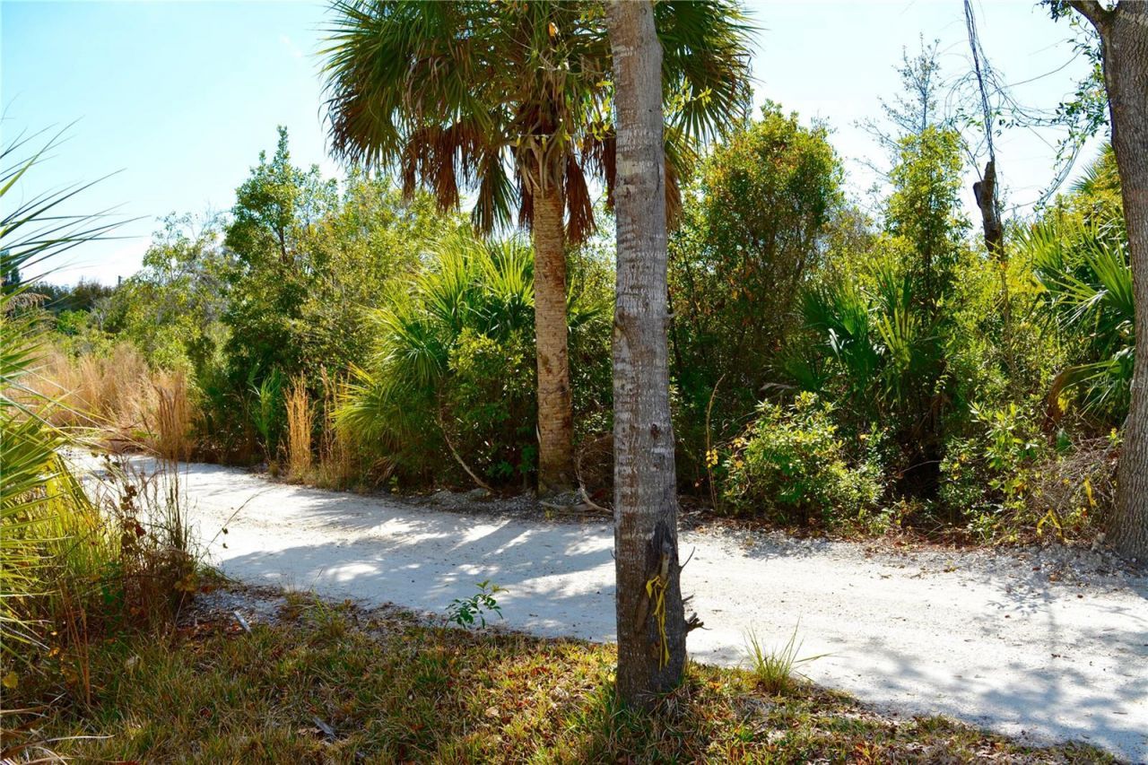 27195 Lowry Avenue, Punta Gorda, FL 33983 Photo