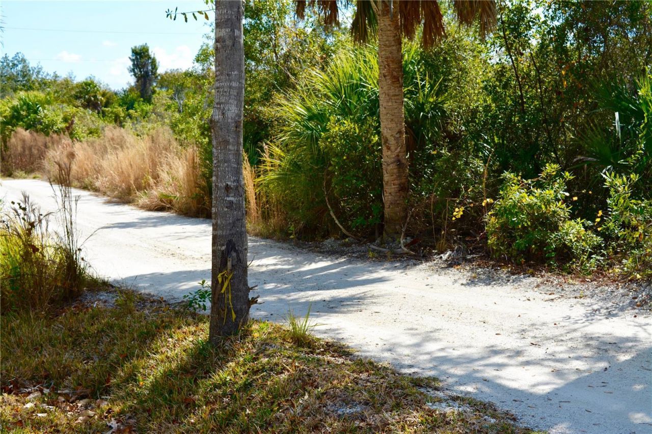 27195 Lowry Avenue, Punta Gorda, FL 33983 Photo