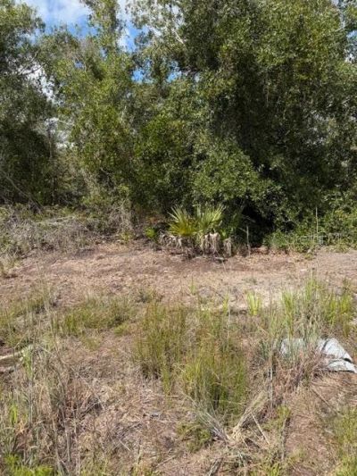 5425 Jacaranda Drive, Punta Gorda, FL 33982 Photo