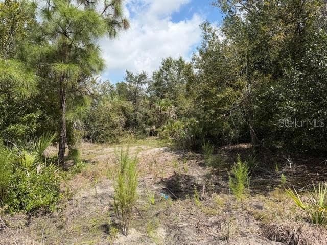 5425 Jacaranda Drive, Punta Gorda, FL 33982 Photo