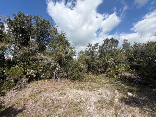 5425 Jacaranda Drive, Punta Gorda, FL 33982 Photo