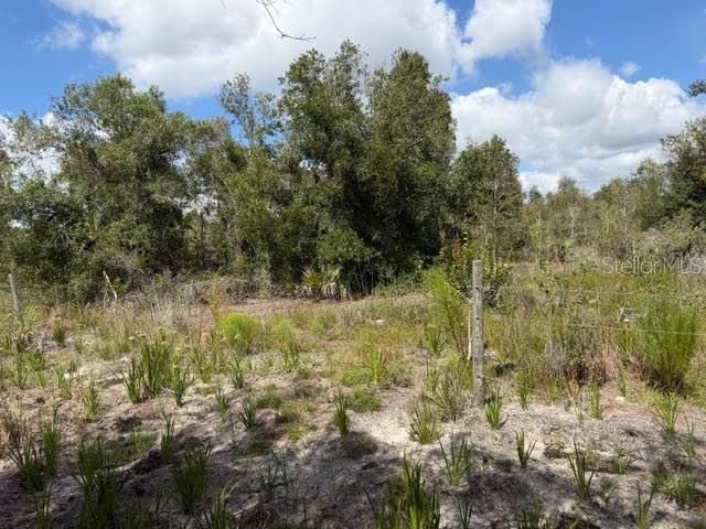 5425 Jacaranda Drive, Punta Gorda, FL 33982 Photo