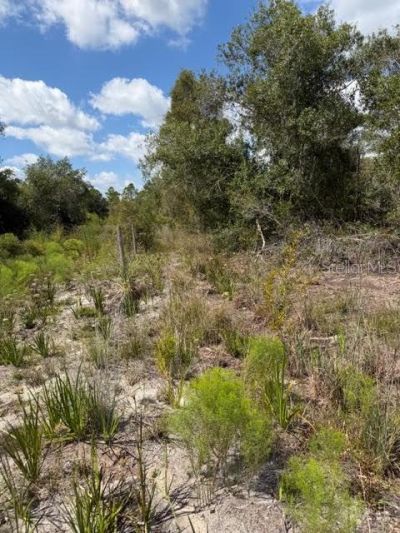 5425 Jacaranda Drive, Punta Gorda, FL 33982 Photo