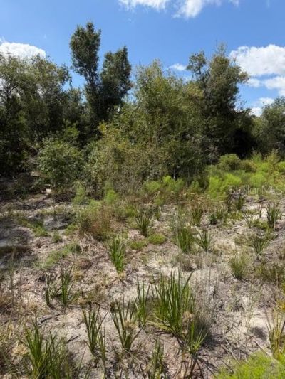 5425 Jacaranda Drive, Punta Gorda, FL 33982 Photo