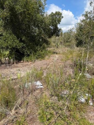 5425 Jacaranda Drive, Punta Gorda, FL 33982 Photo