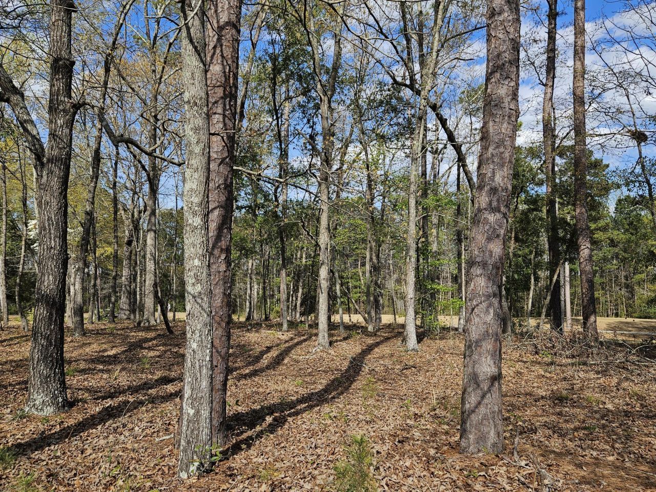 5 Fairway Drive Photo 10