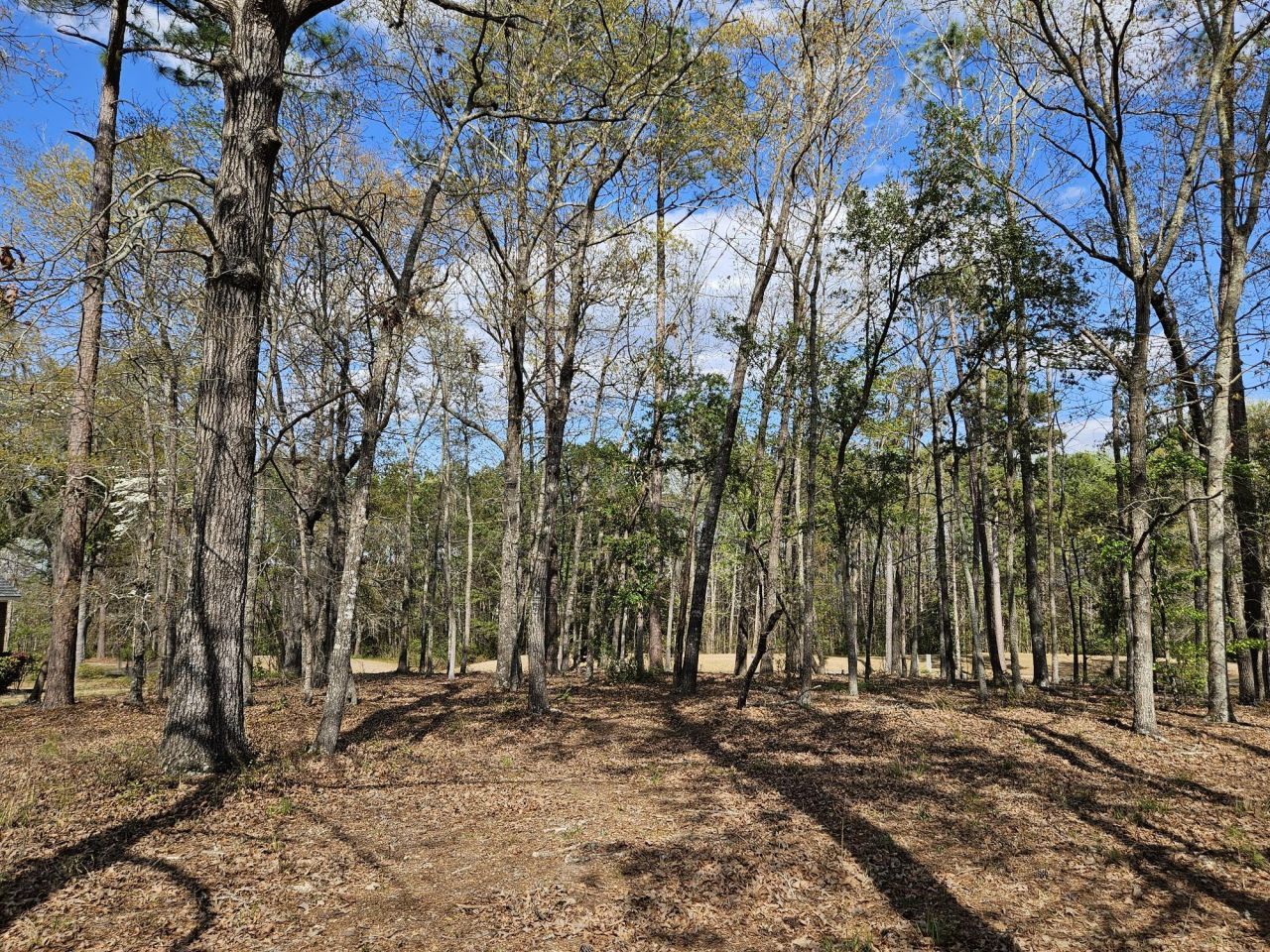 5 Fairway Drive Photo 7