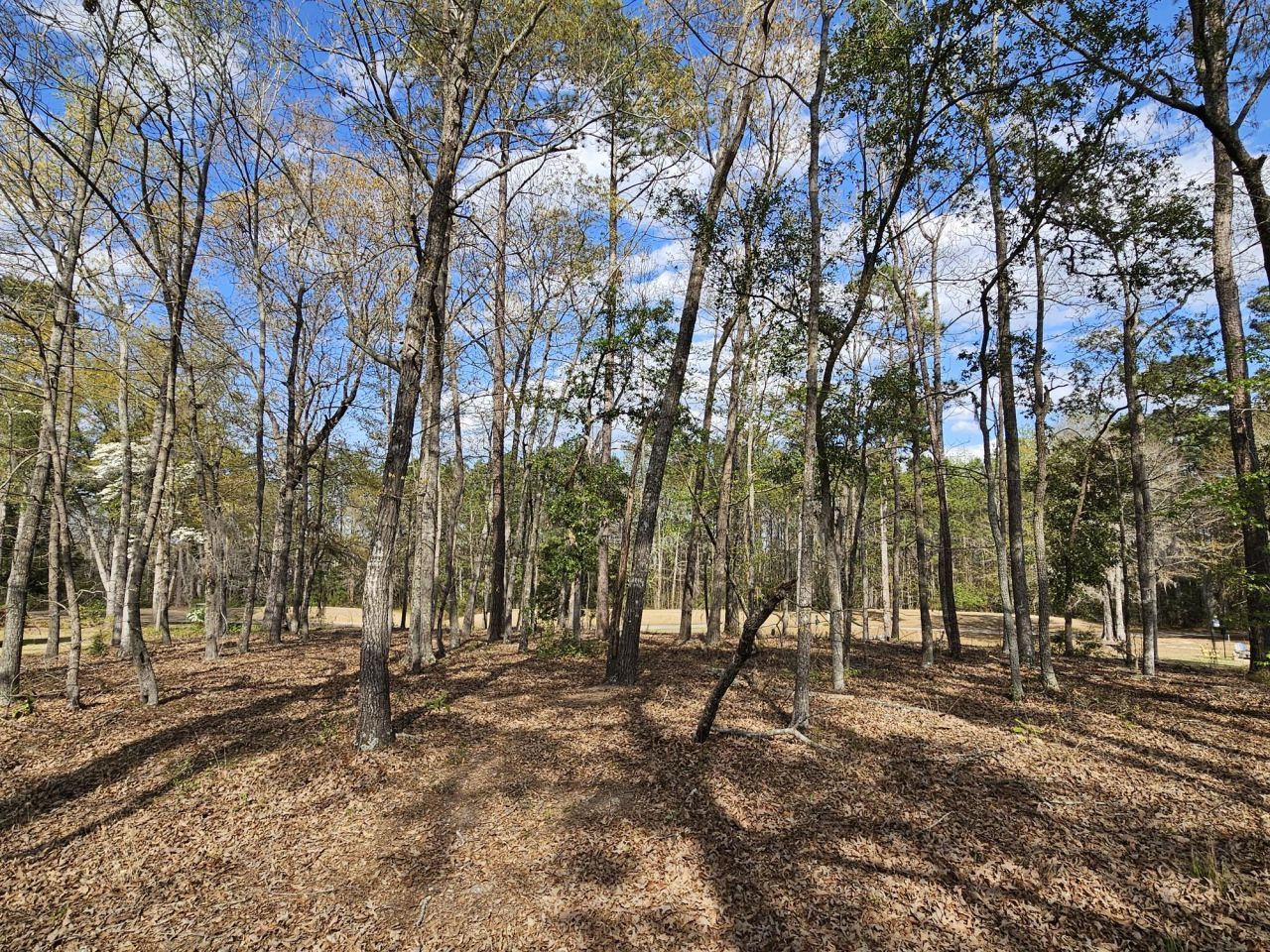 5 Fairway Drive Photo 8