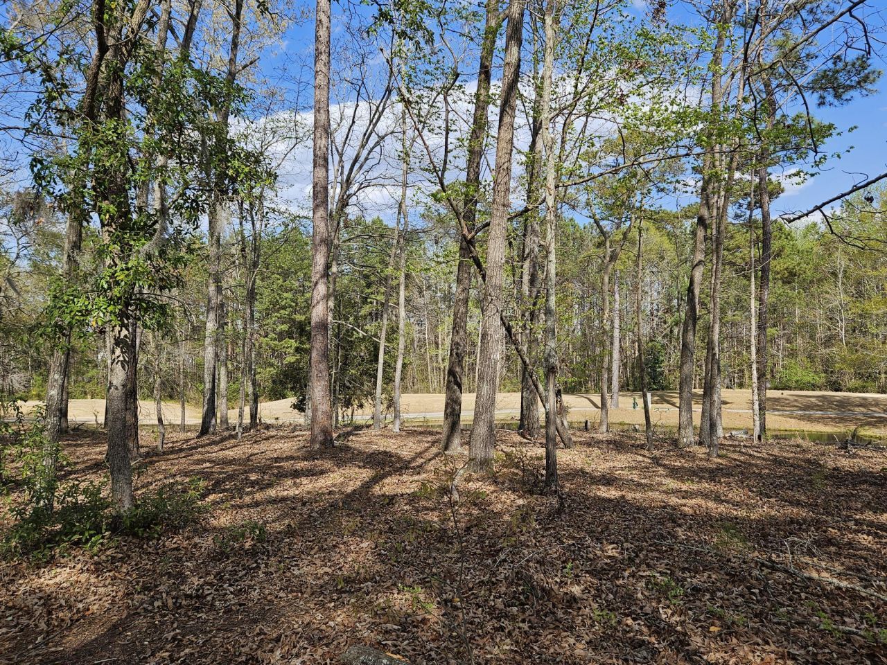 5 Fairway Drive Photo 9