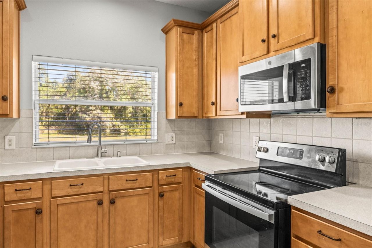 10418 Tulip Field Way, Riverview, FL 33578 Photo