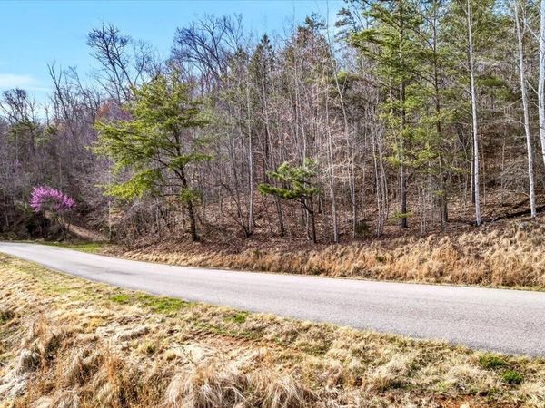 Lot 553 Whistle Valley Road, New Tazewell, TN 37825