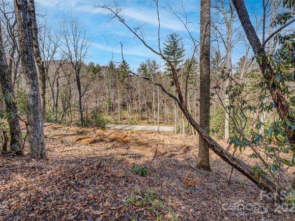 99999 Christa Lane, Arden, NC 28742