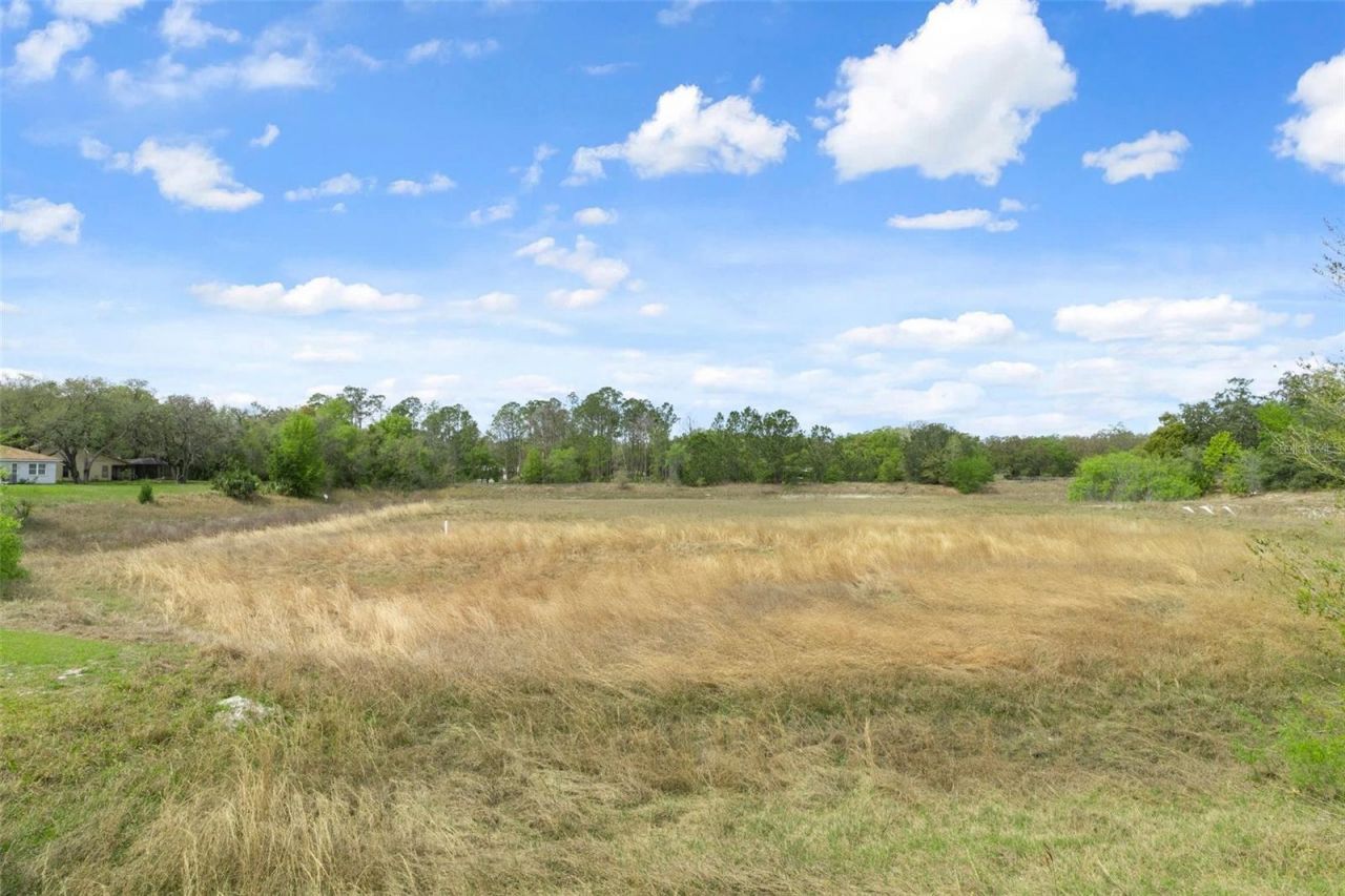 18241 Autumn Lake Boulevard, Hudson, FL 34667 Photo