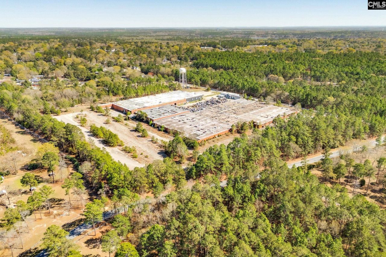 867 Dicey Creek Road Photo 4