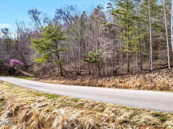 Lot 553 Whistle Valley Road, New Tazewell, TN 37825