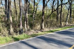 6956 Parkers Ferry Road photo 4