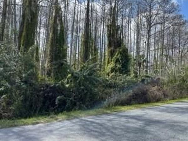 RICHMOND ROAD, ST CLOUD, FL 34773