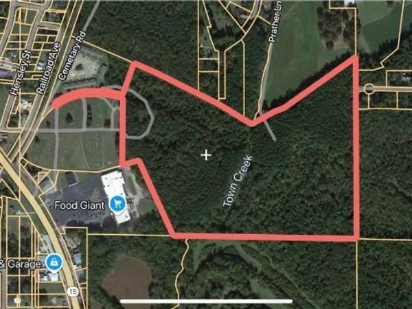 44.36 AC City Ave. N (Tippah County), Other, MS 38663