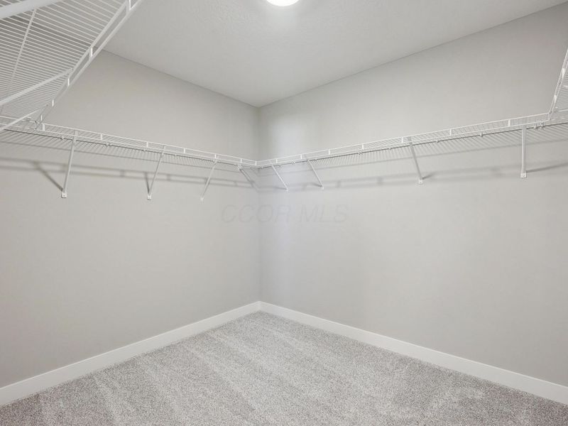 7252 River Birch Road, Plain City, OH 43064 Photo 29