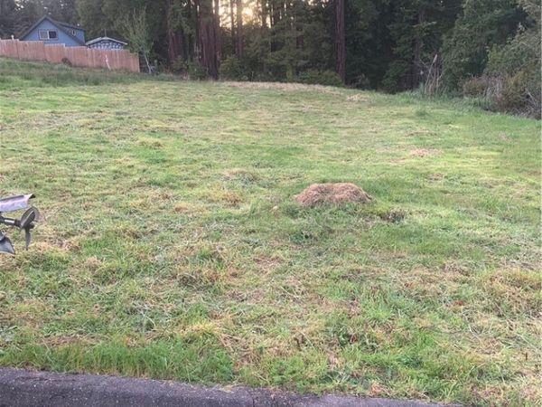 0 Brogan, Eureka, CA 95503