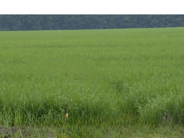 000 Hwy 32 West, Water Valley, MS 38965