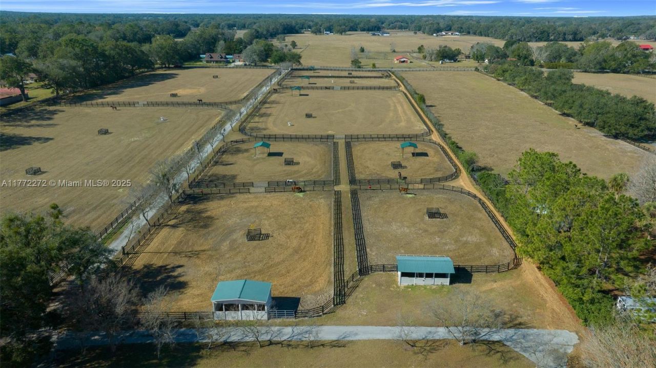 16921 SE 19th Ct, Summerfield, FL 34491 Photo