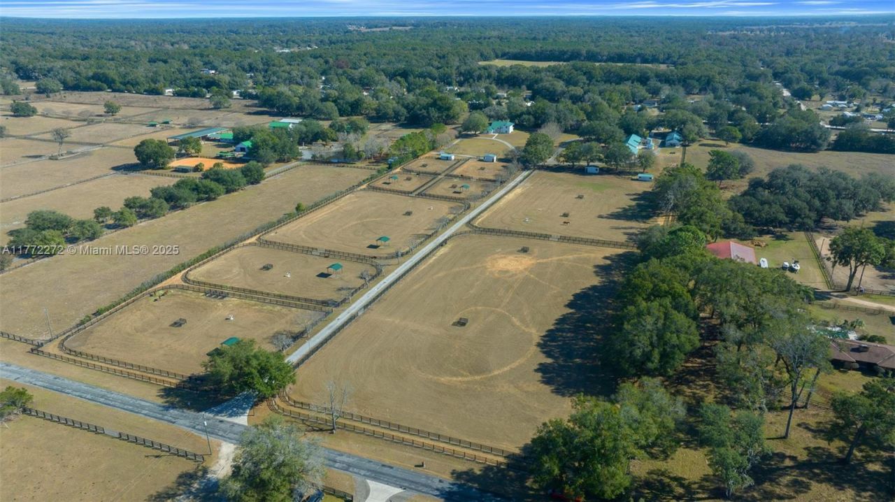 16921 SE 19th Ct, Summerfield, FL 34491 Photo