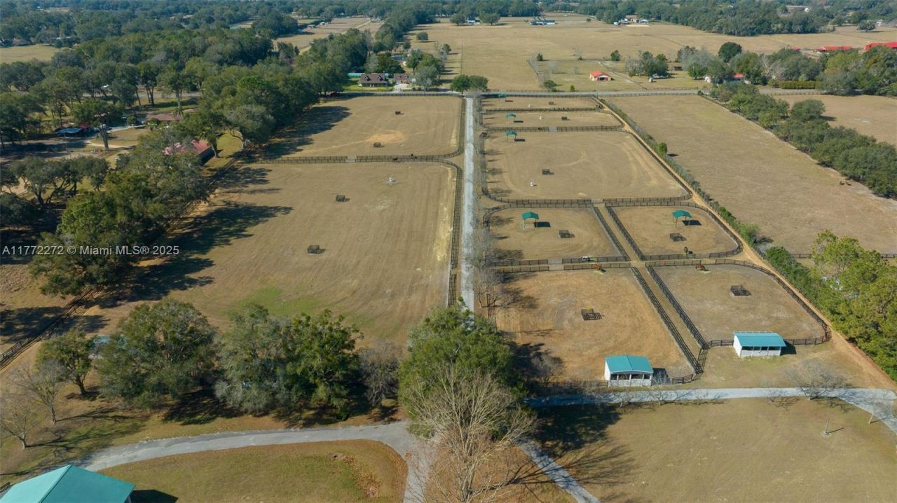 16921 SE 19th Ct, Summerfield, FL 34491 Photo