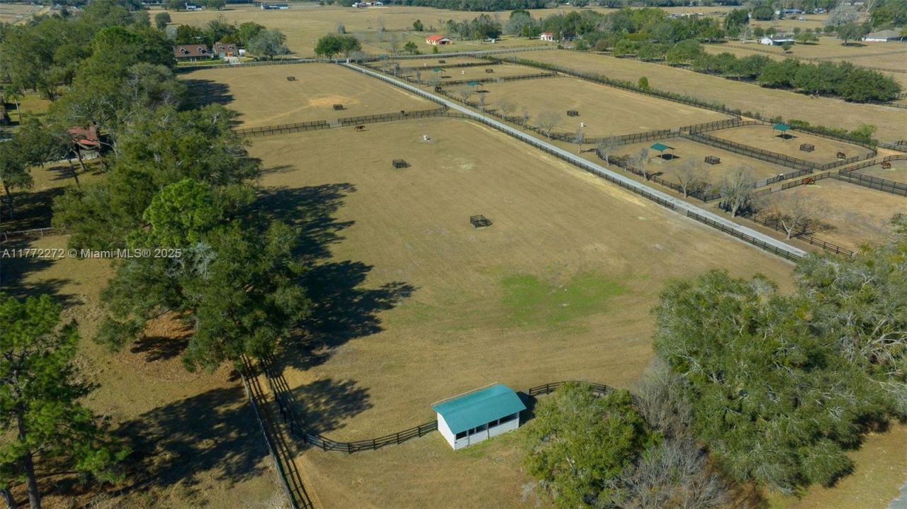 16921 SE 19th Ct, Summerfield, FL 34491 Photo