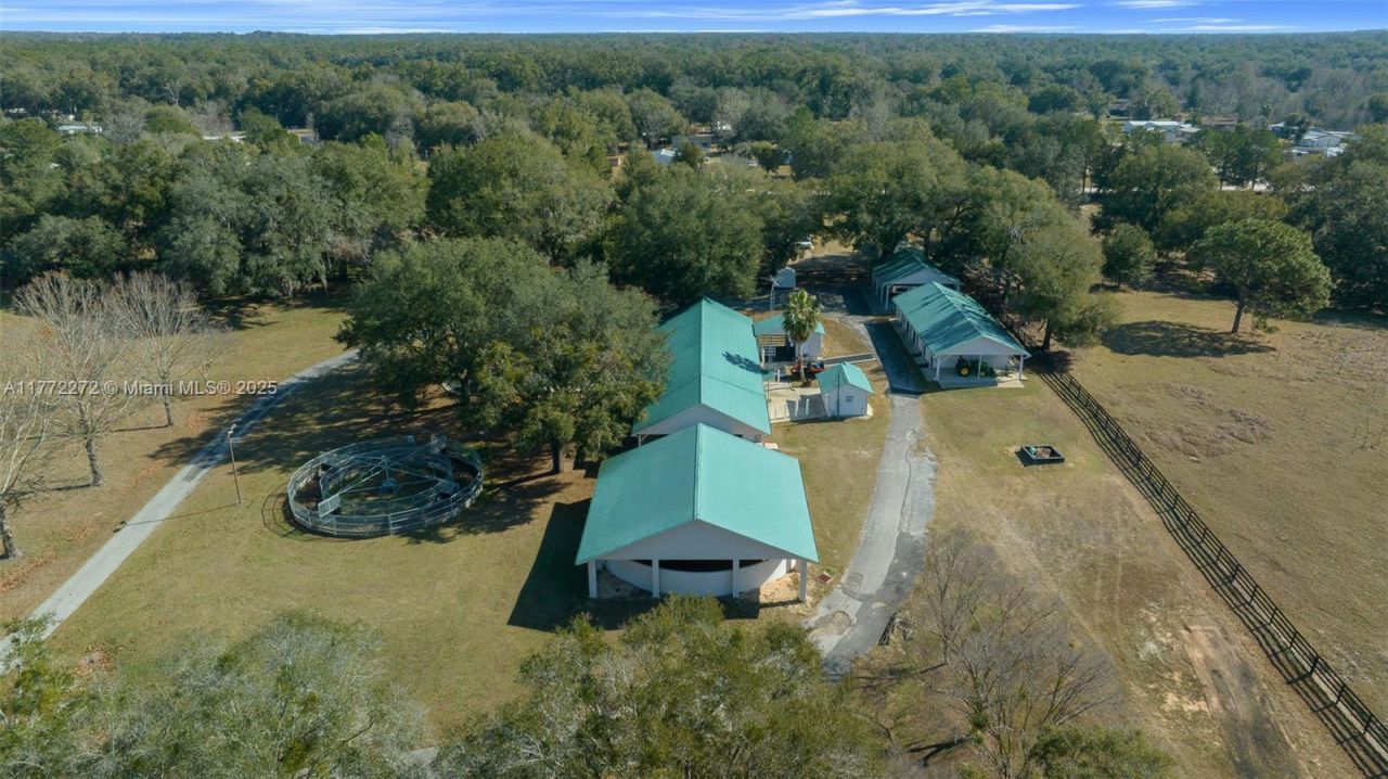 16921 SE 19th Ct, Summerfield, FL 34491 Photo