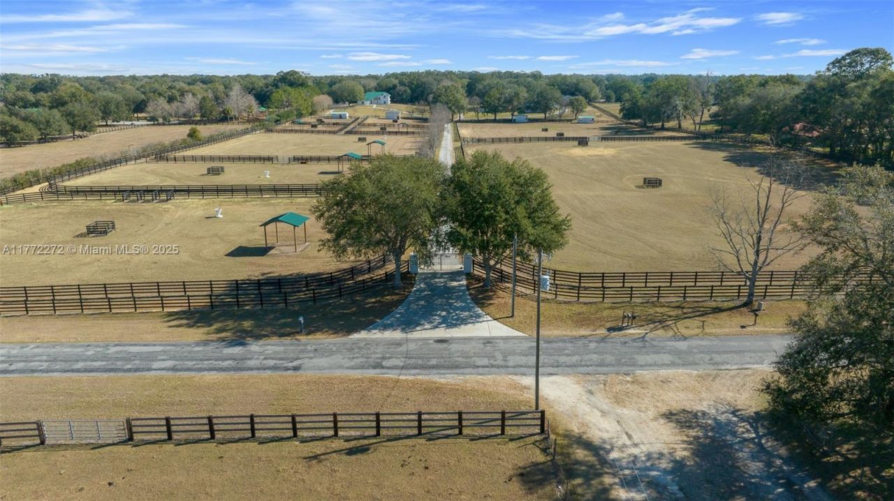 16921 SE 19th Ct, Summerfield, FL 34491 Photo