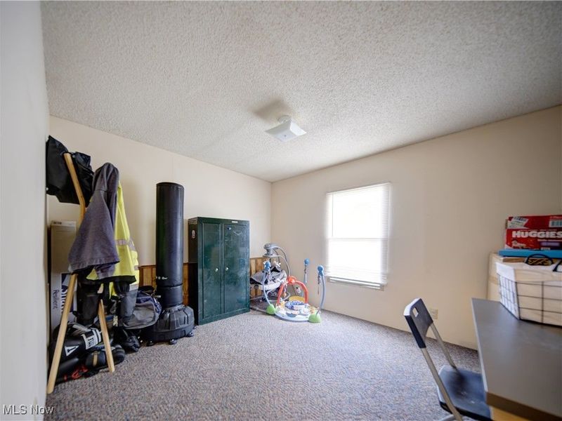 30 Cardinal Drive, Hiram, OH 44234 Photo 17