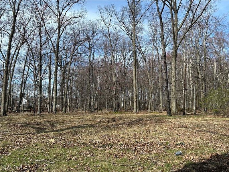 S/L 2 Redwood Boulevard, Avon Lake, OH 44012 Photo 1