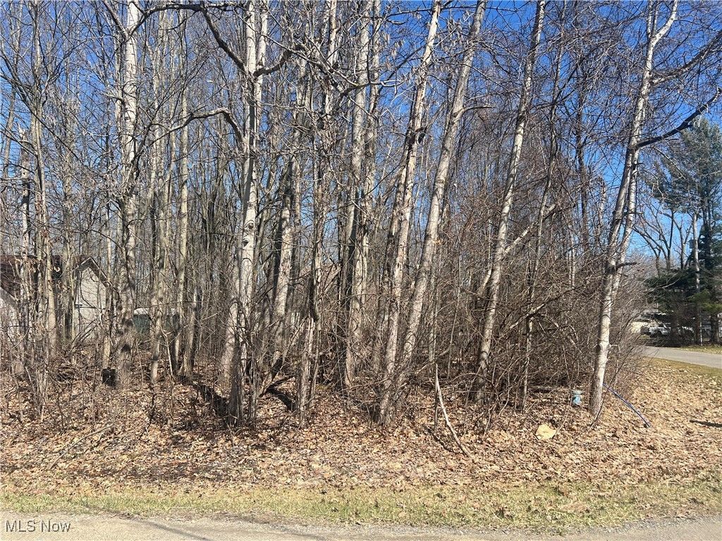 2455 Plum Creek, Roaming Shores, OH 44084 Main Photo