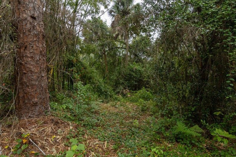 12511 Roseland Road, Sebastian, FL 32958 Photo